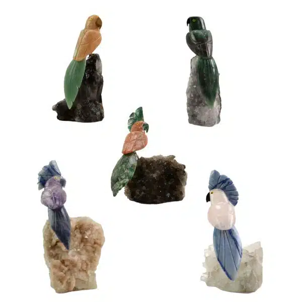 Bird Mixed Stones 16P