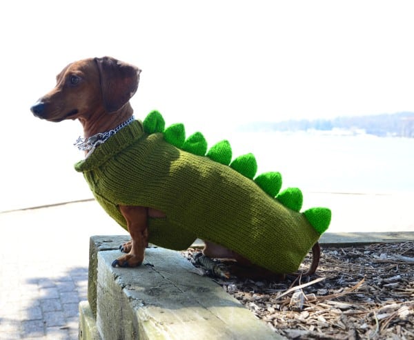 Dino Dog Sweater - Image 2